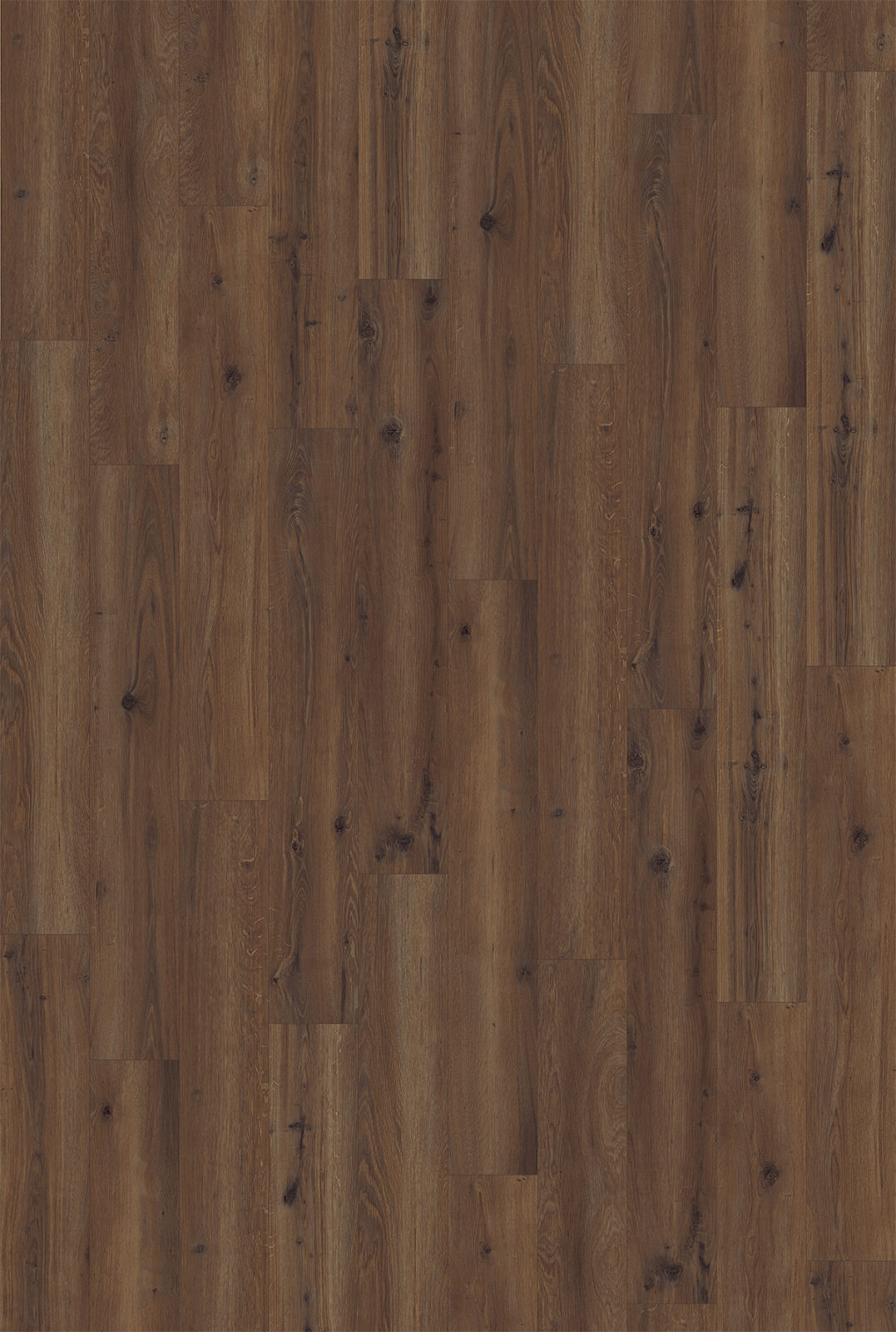 52487-cask-oak_fulldecor_recolor-1077x1600