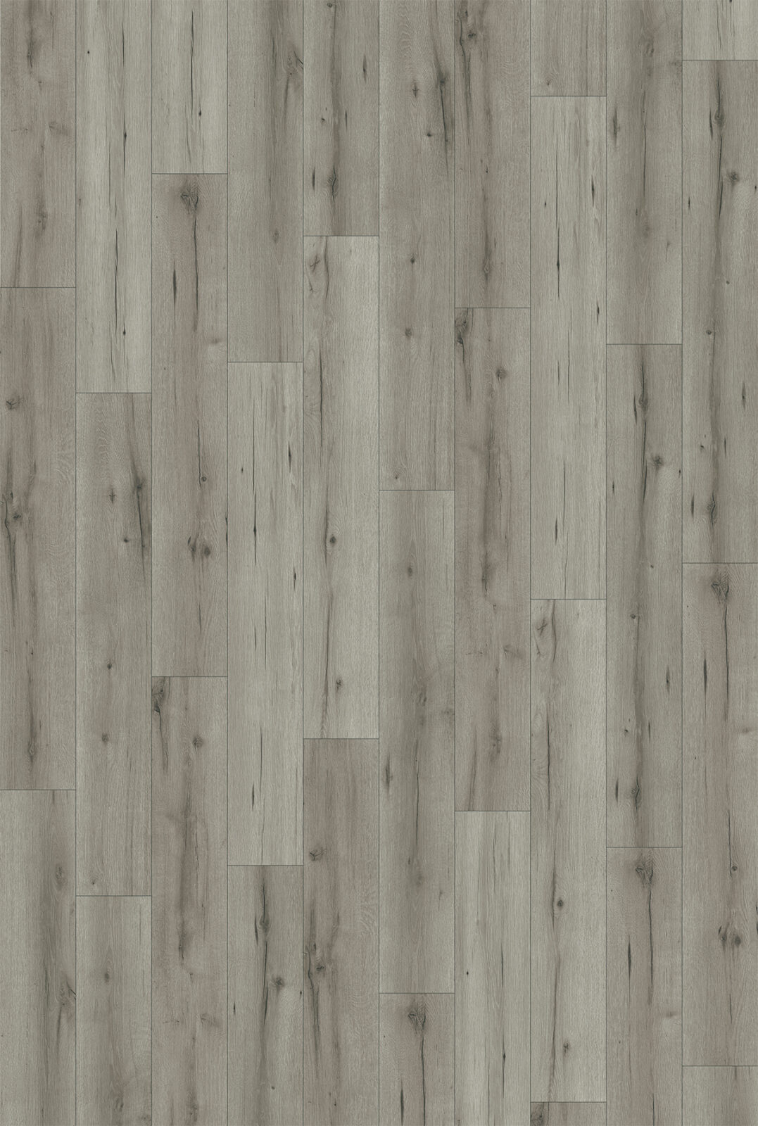 54441-cassini_fulldecor_recolor-1077x1600