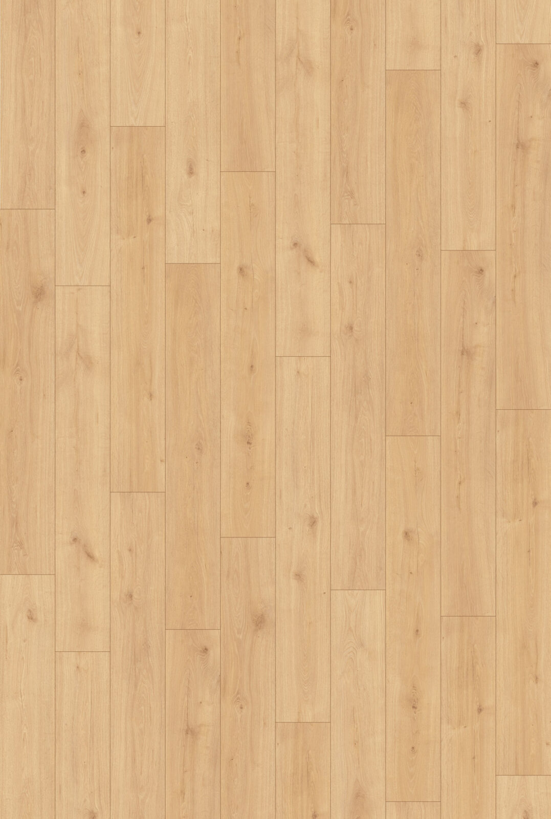 64709-ellesmere-fulldecor-1077x1600