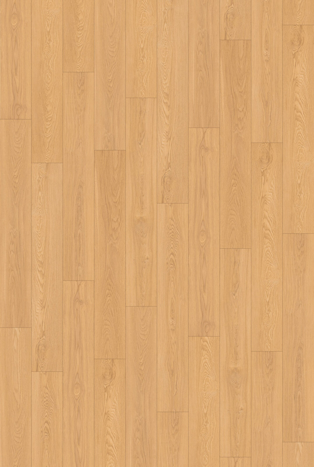 65528-saguaro-decor-1077x1600