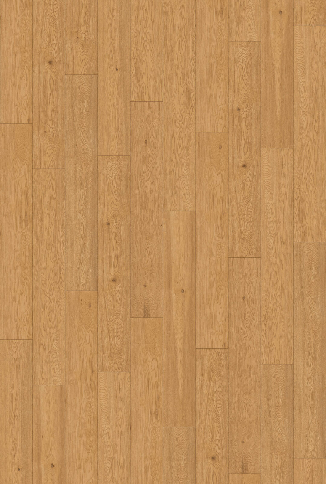 65529-biscayne-decor-1077x1600