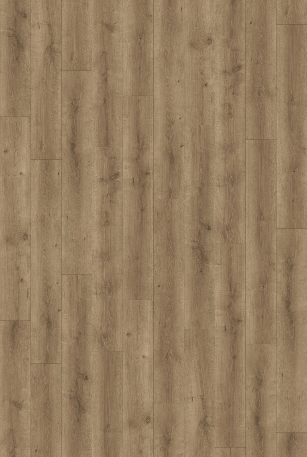 65531-daintree-decor-1077x1600