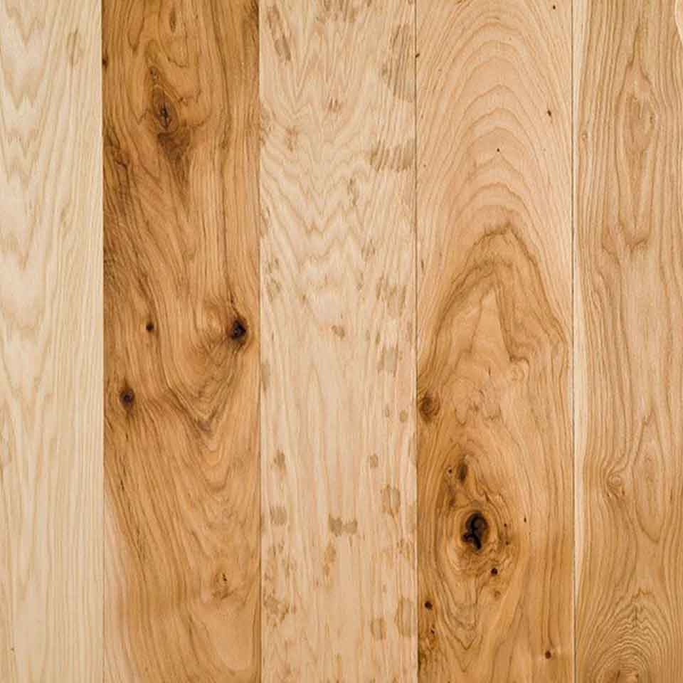 Hickory-character-new-resize