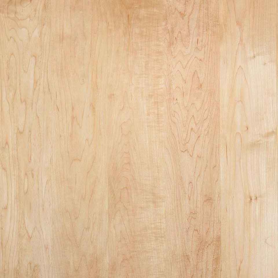 Maple-1st-Grade-new-resize-image