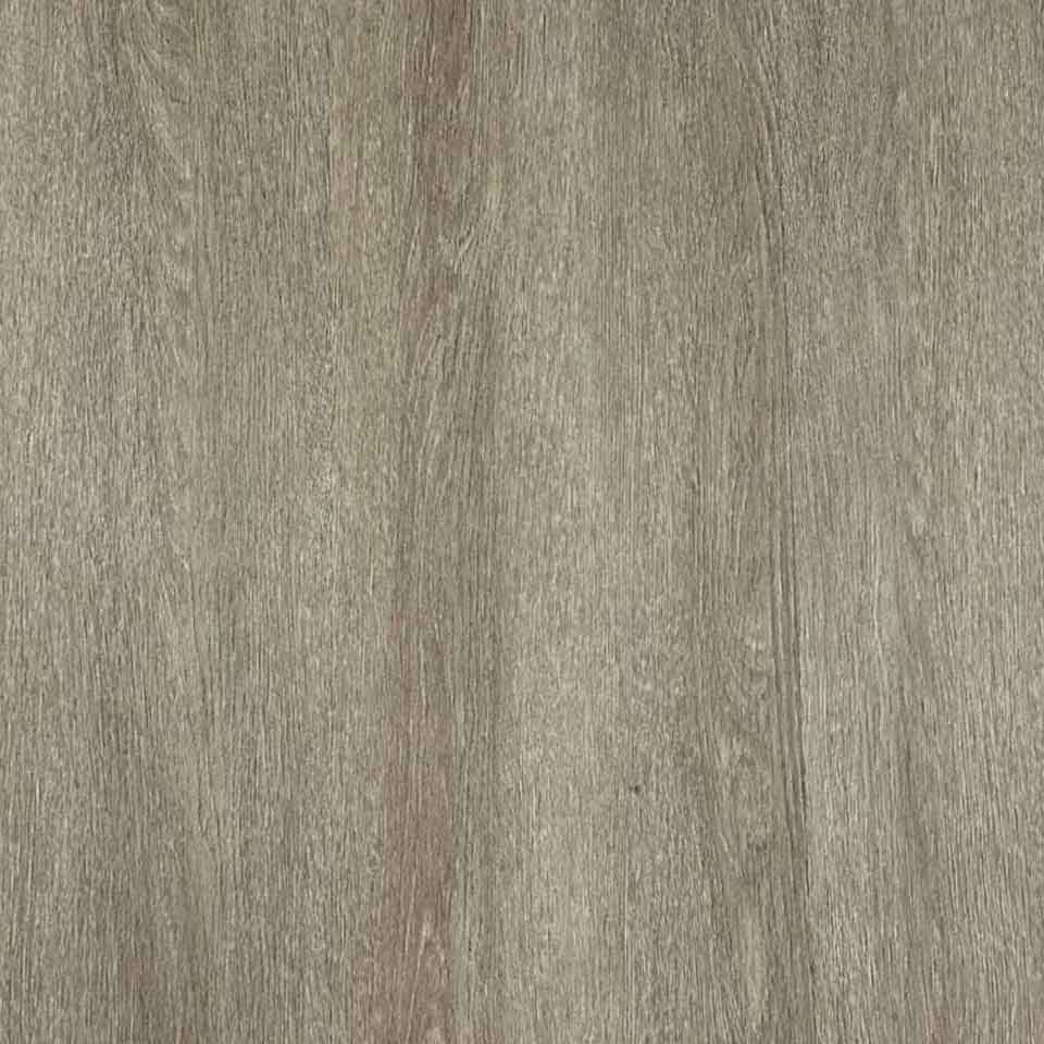 Orbit-new-resize-image