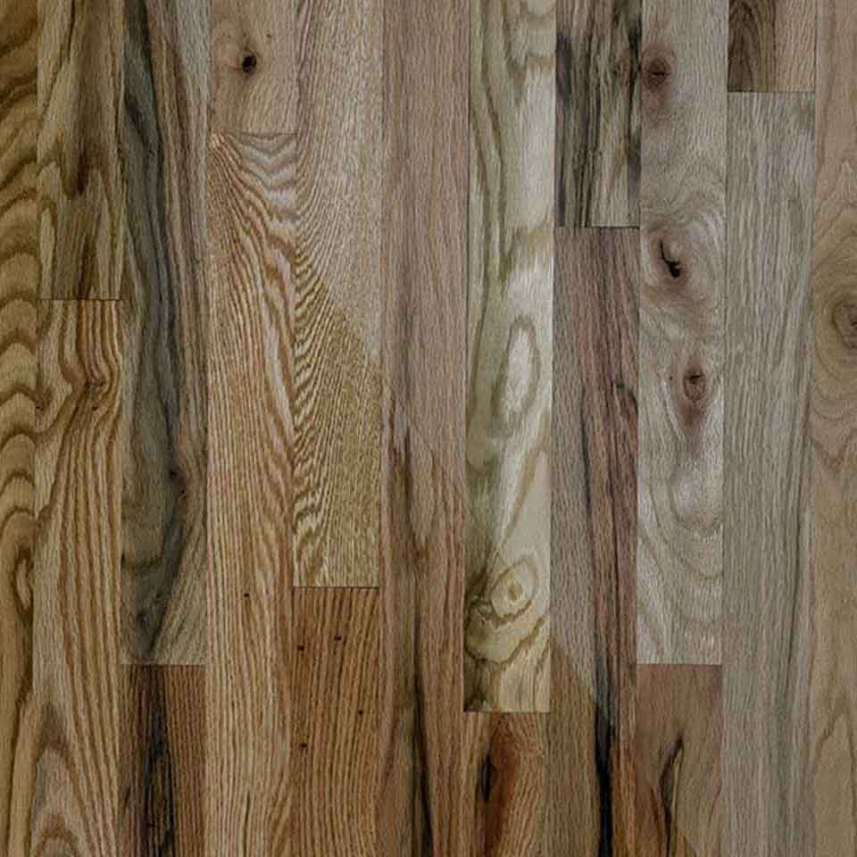 Red-oak-two-common-new