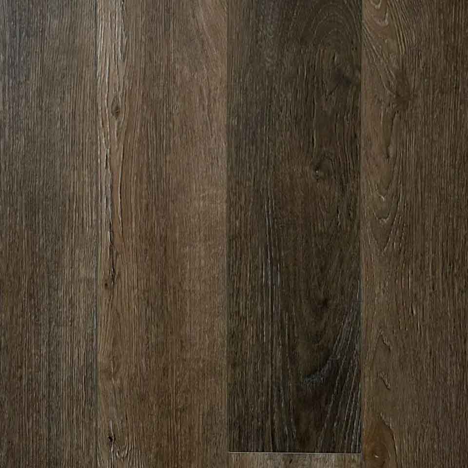 Sequoia-new-resize-image