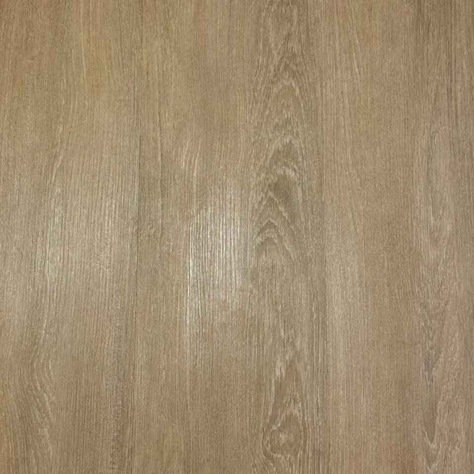 Stellar-new-resize-image