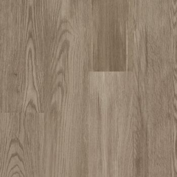 resized-350-cover (2)