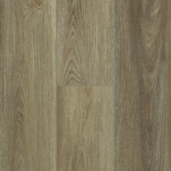 resized-350-cover (2)