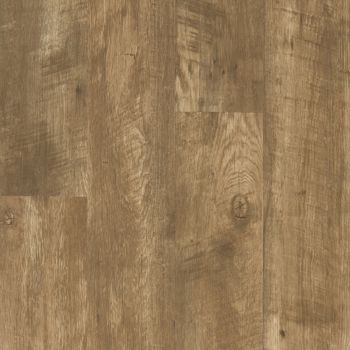 resized-350-cover (3)