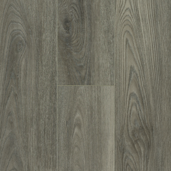 resized-350-cover (4)