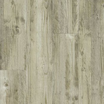 resized-350-cover (5)