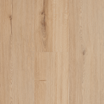 resized-350-cover (5)