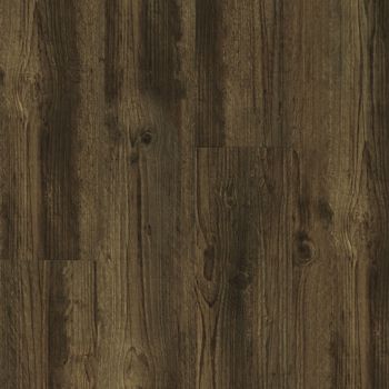 resized-350-cover (6)