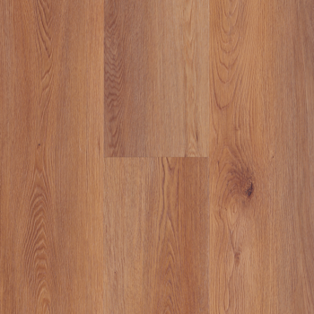 resized-350-cover (6)