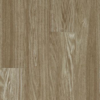 resized-350-cover (7)