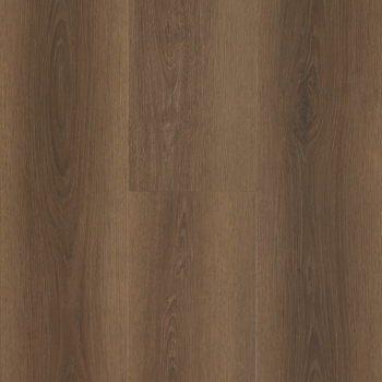 resized-350-cover (7)