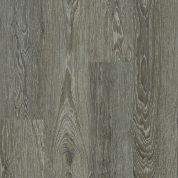 resized-350-cover (8)